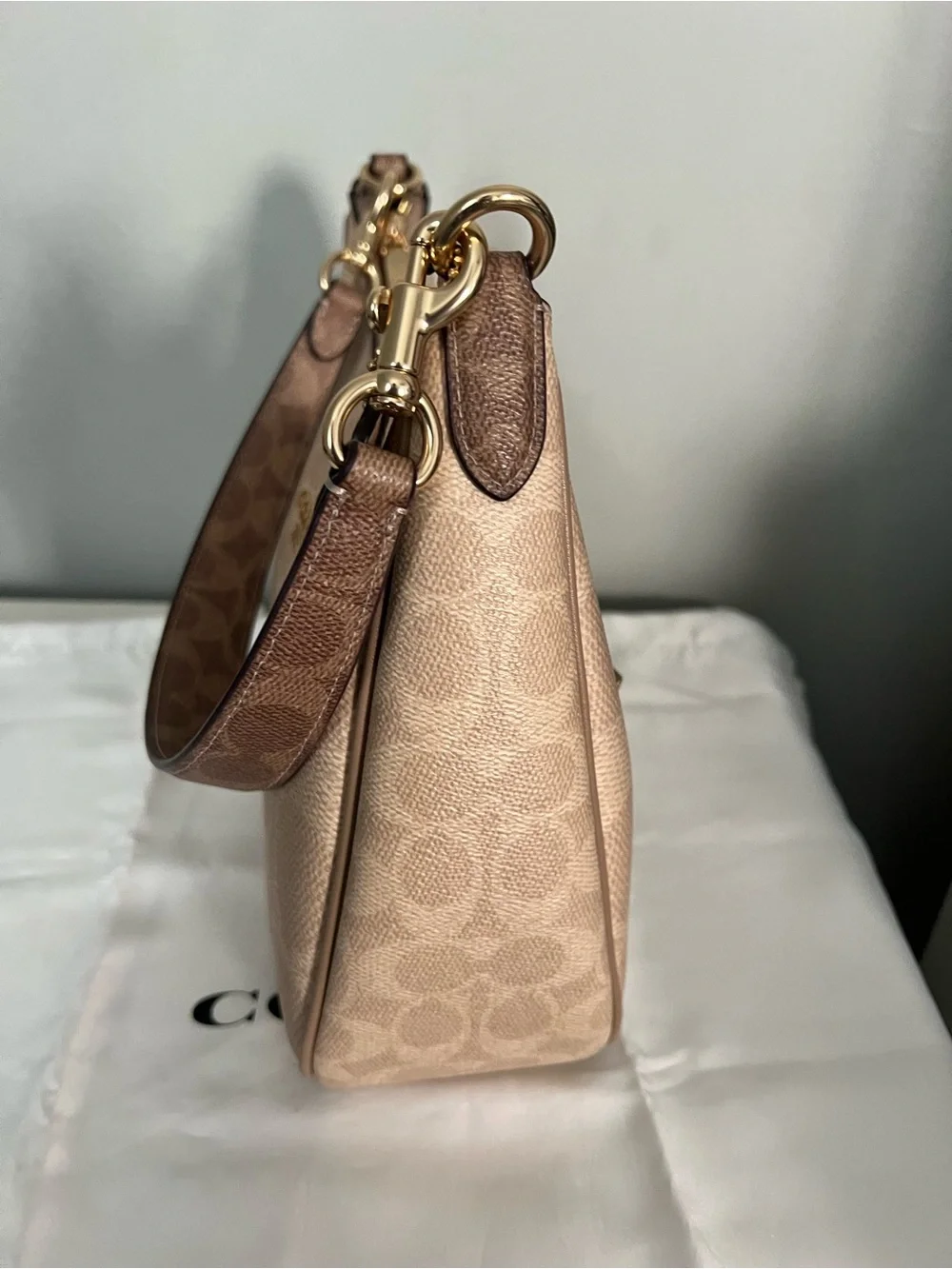 Coach Teri Hobo Bag In Blocked Signature Canvas With Matching Wallet